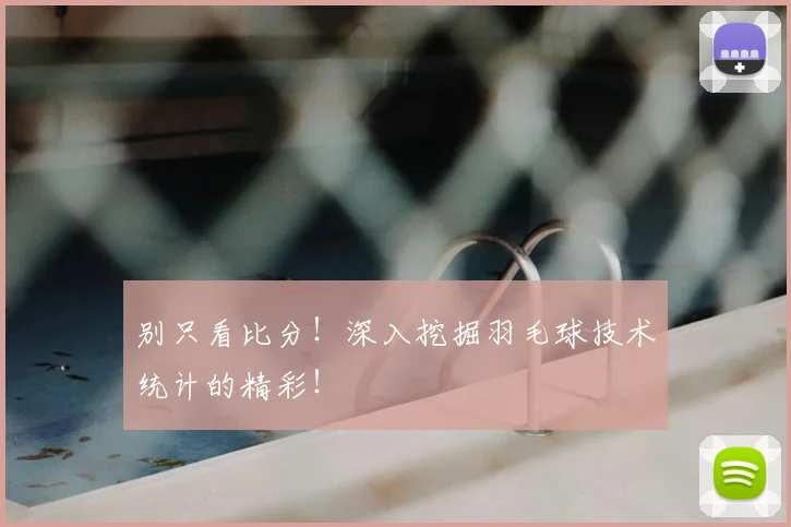 别只看比分!深入挖掘羽毛球技术统计的精彩!